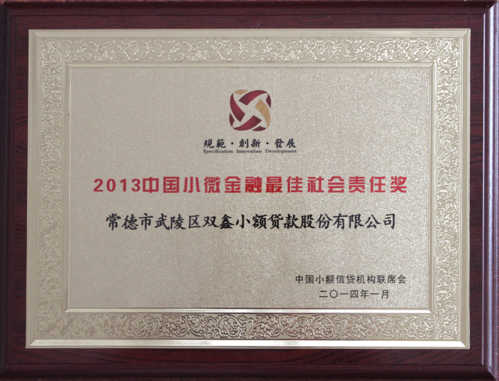 2013中国小微金融最佳社会责任奖.JPG