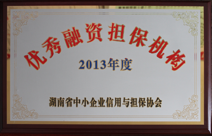 2013年度优秀融资担保机构.JPG